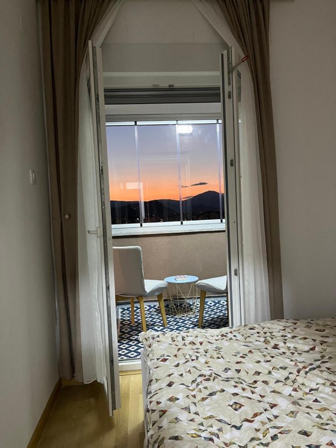 Flat Mara, Pet Friendly